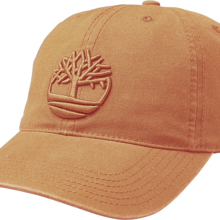כובע בייסבול כותנה עם רקמת אייקון עץ