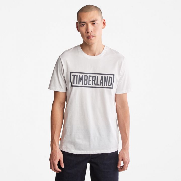 טי שירט לוגו בתוך מסגרת