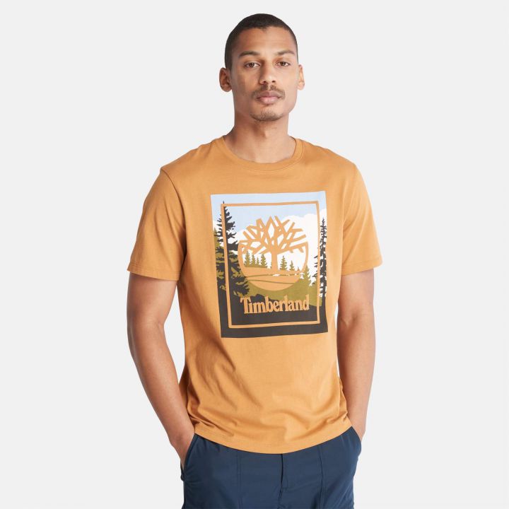 חולצה טי שירט לגבר בסגנון טבע