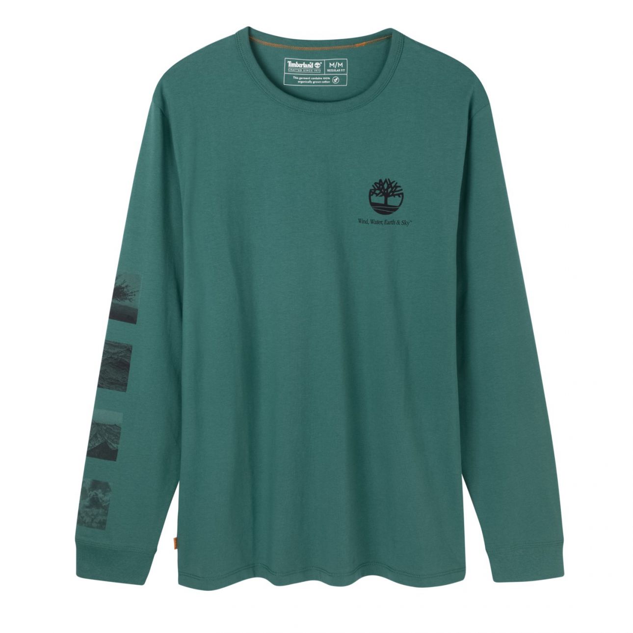 טי שירט לגבר בהדפס נופים אחורי