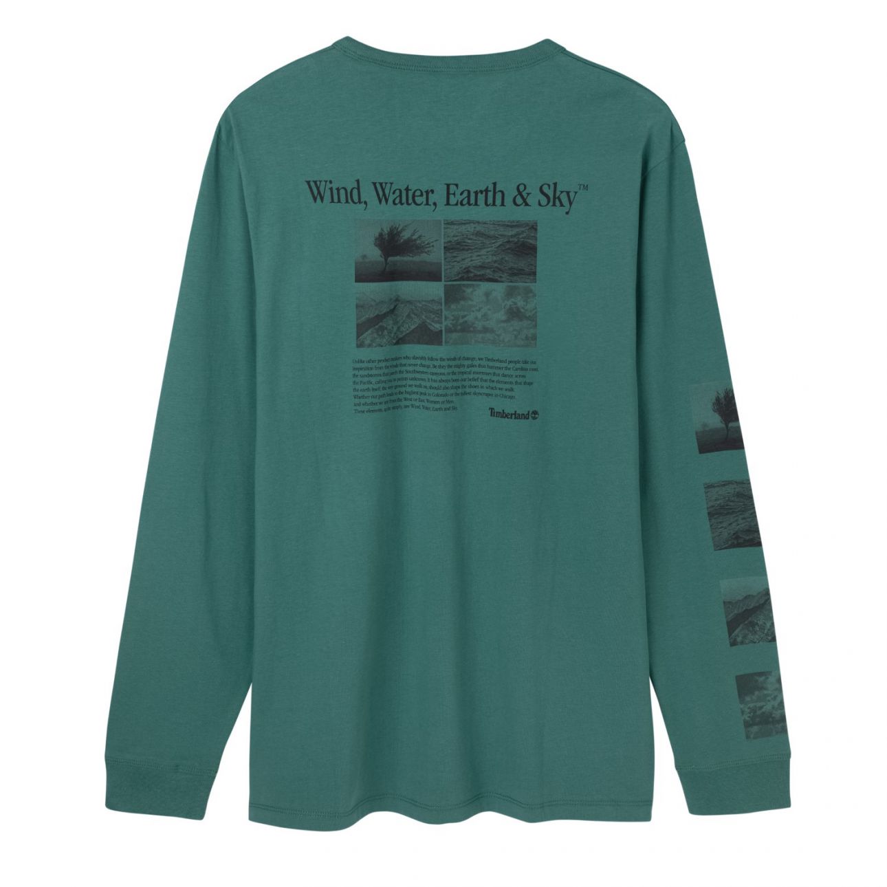 טי שירט לגבר בהדפס נופים אחורי