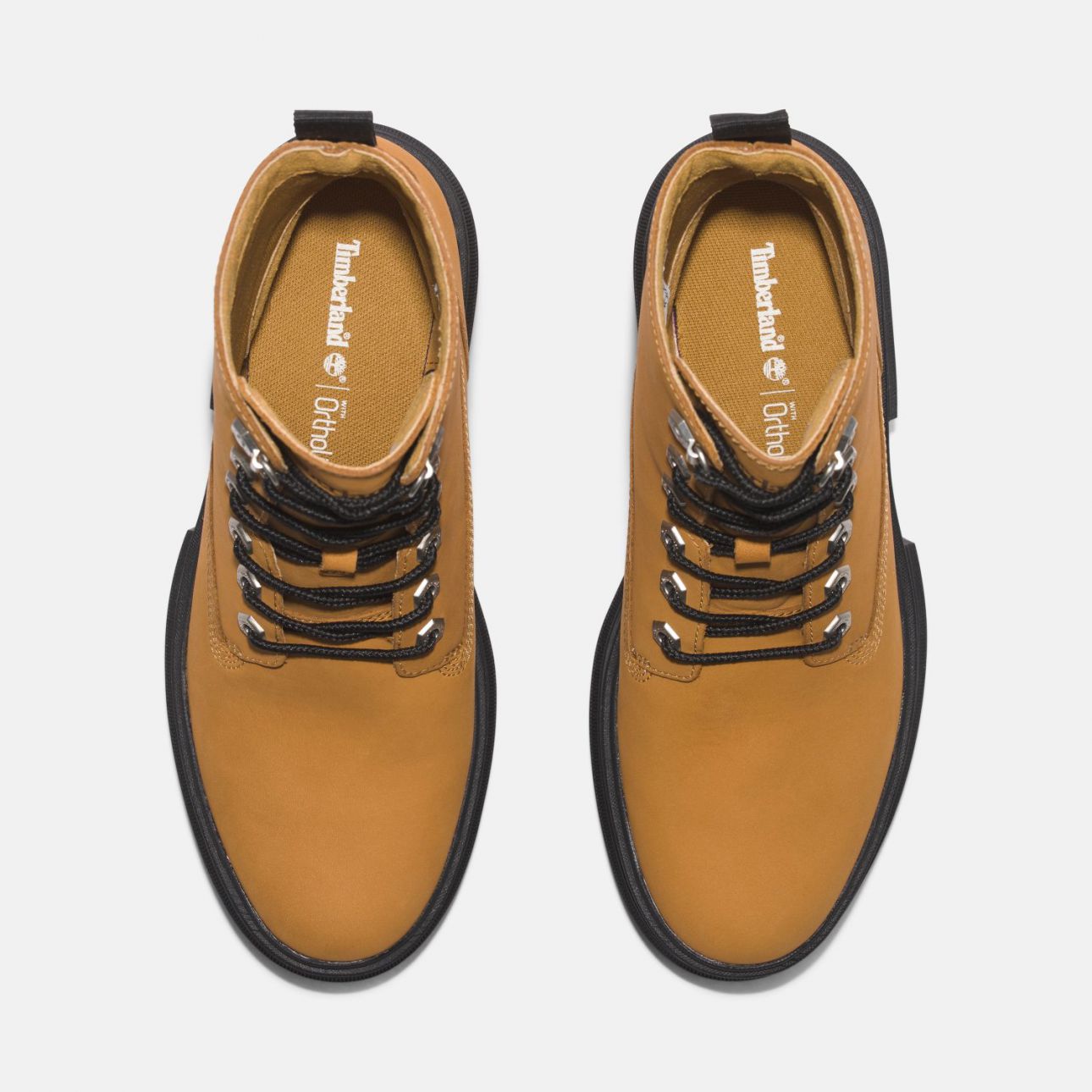 Everleigh 6in Lace Up מגפיים לנשים
