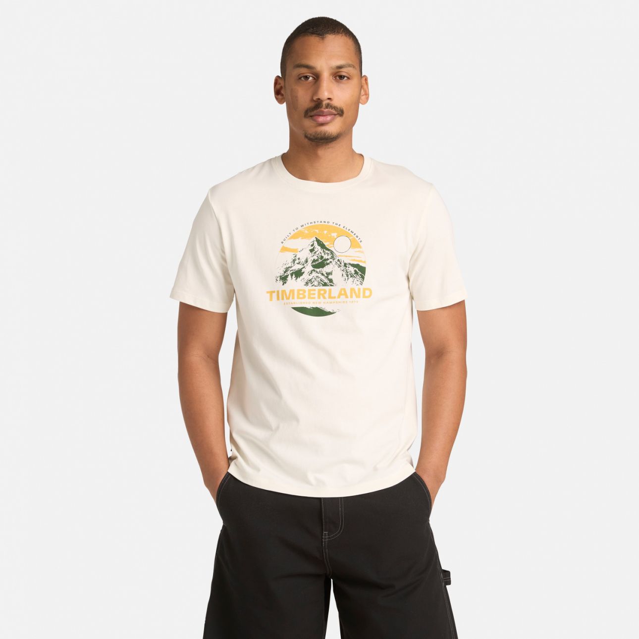 טי-שירט קצרה לגברים Mountain Graphic