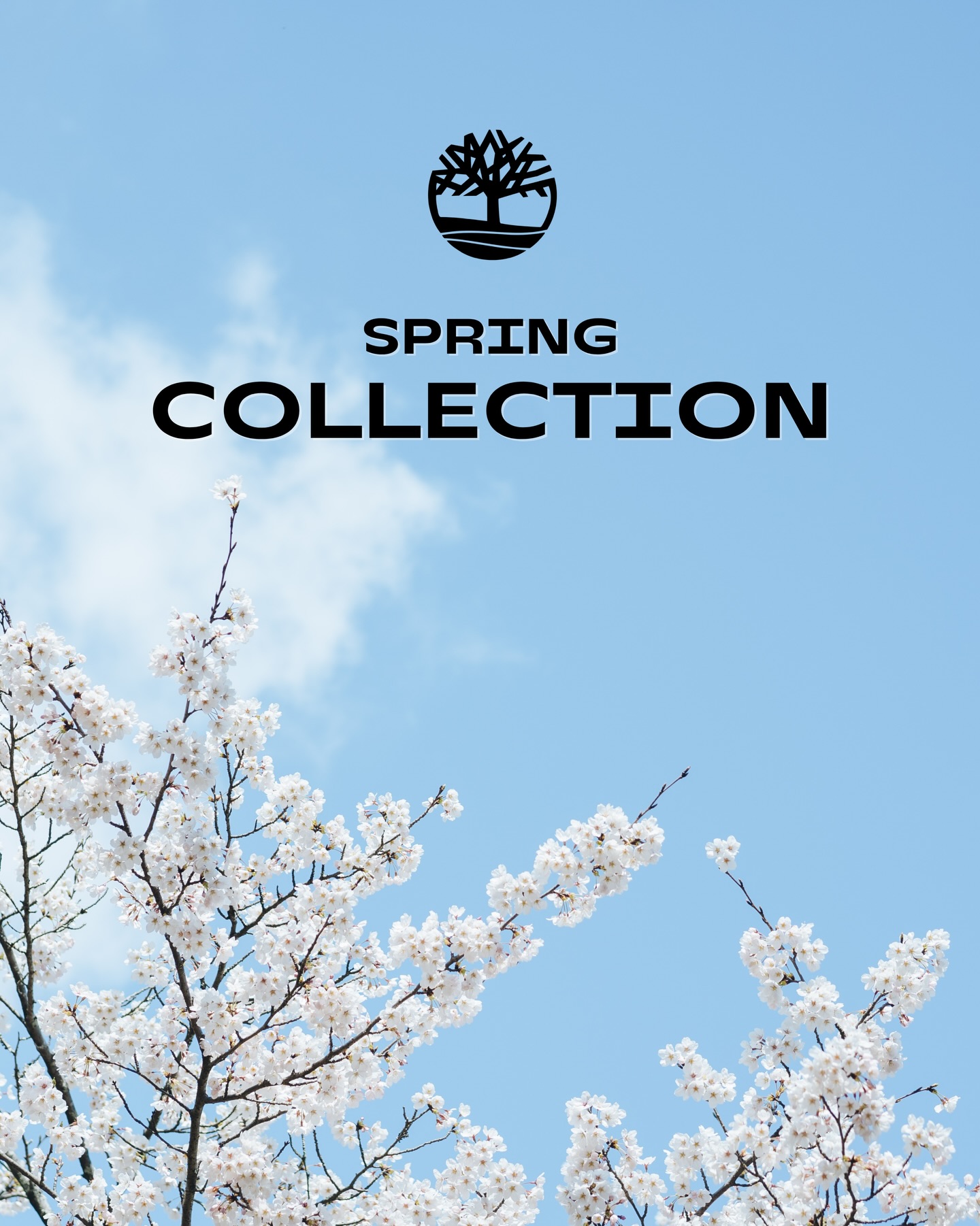 ⁨	קולקציית האביב החדשה של טימברלנד - עכשיו בחנויות ובאתר.

#Timberland
#BuiltForTheBold⁩